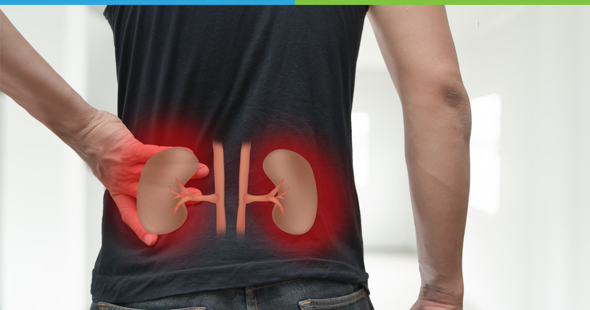 Common Kidney Diseases - Symptoms, Causes and Treatment
