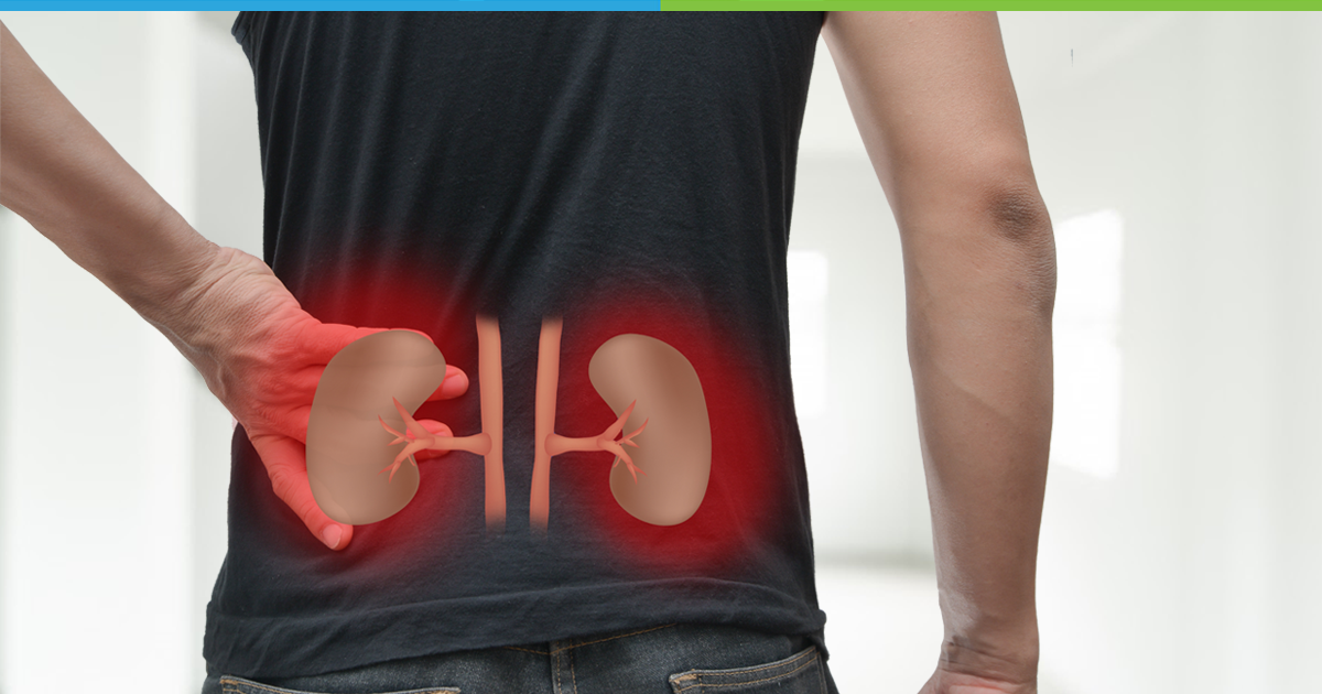 common-kidney-diseases-symptoms-causes-and-treatment-omni-hospitals