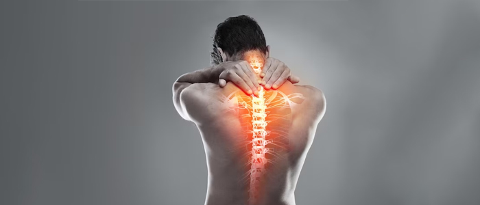 Tips for a Strong, Flexible Back & Healthy Spine