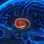 Neurology Progress in the Diagnosis and Treatment of Parkinson's Disease Omni Blog Banner